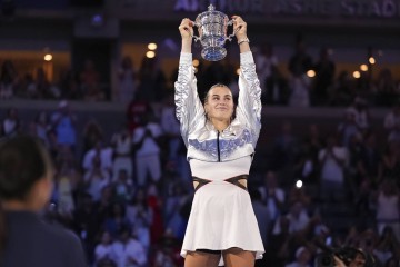 知耻而后勇，首秀失利走出阴影，樊振东德甲2连胜炸场，没有团队的顶流，到底打谁的脸？