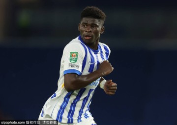 曼联豪掷1.12亿英镑求购巴莱巴：英超转会市场的惊人之举