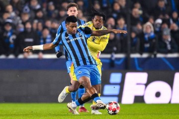 拜仁VS布鲁日：德甲霸主主场争冠，比甲劲旅客场寻爆冷