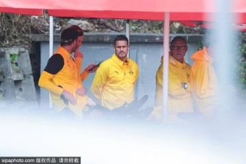 德甲冠军全解析：拜仁慕尼黑如何缔造足球王朝？